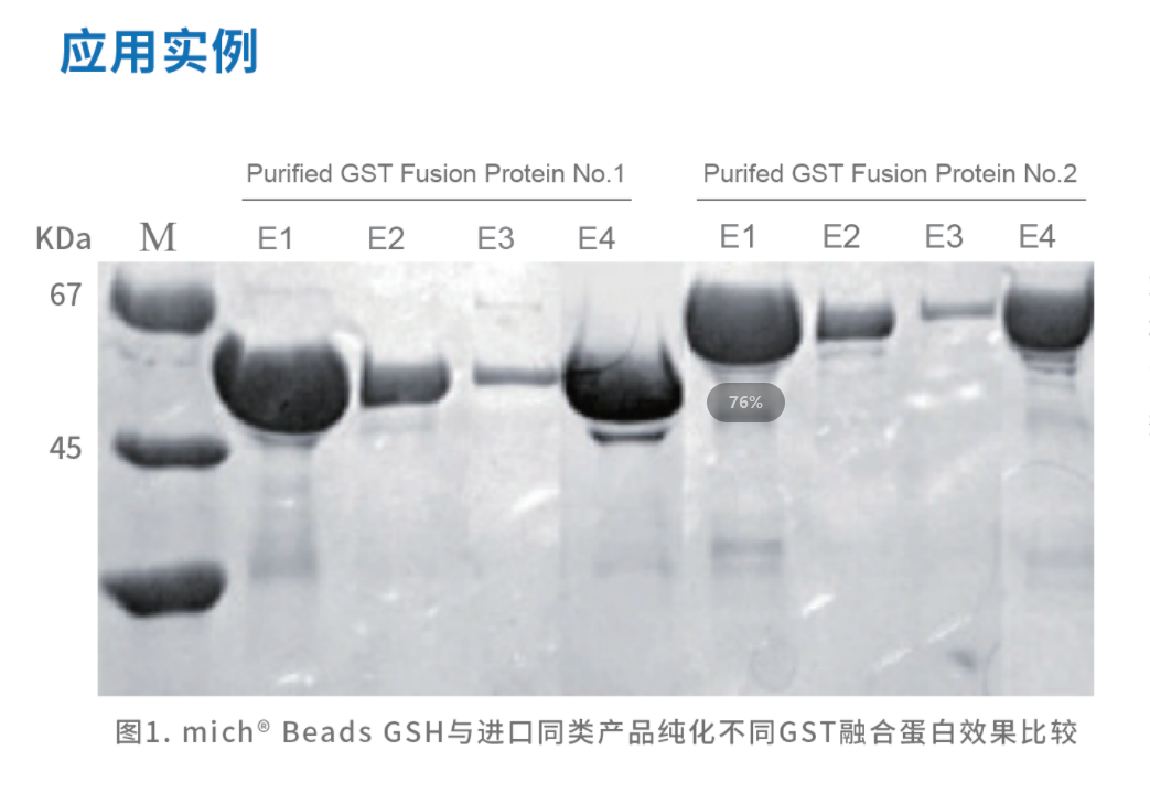 GST應(yīng)用實(shí)例.png