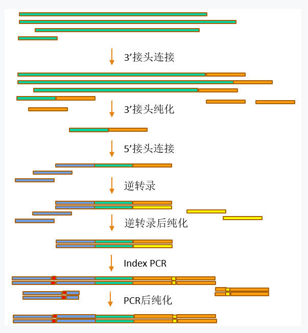 流程圖.png