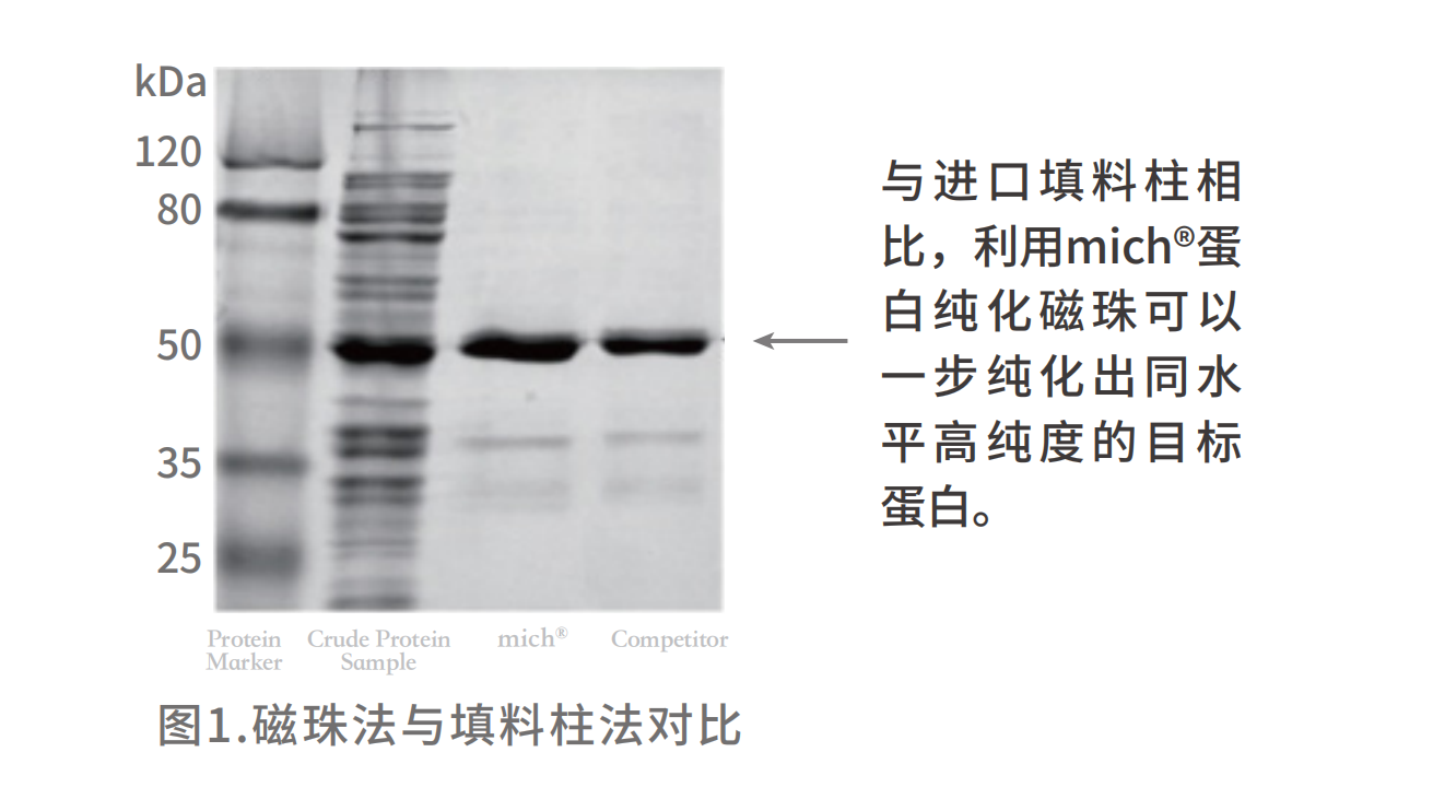 HIS實(shí)際操作.png